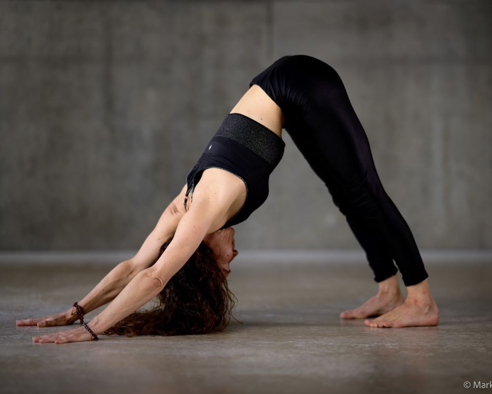 posture du chien tete en bas en hatha yoga